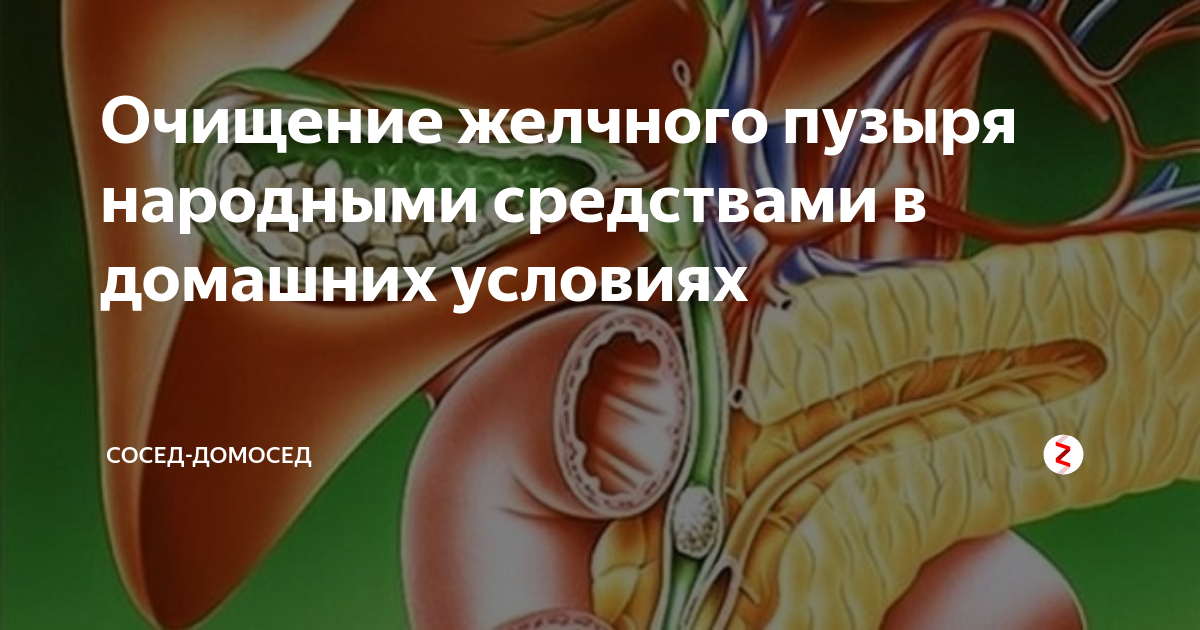 чистка кишечника народными способами в домашних условиях лучшие рецепты | Дзен