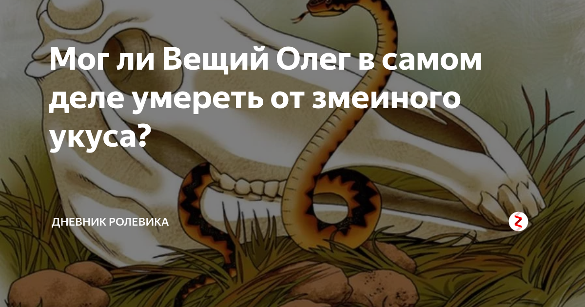 Дневник ролевика. Прикольные ролевые игры. Дневник ролевика. Дзен дневник ролевика. Нагайка последствия удара.