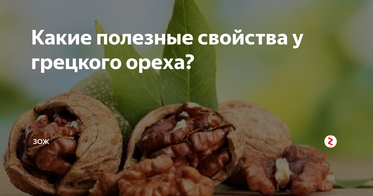 Грецкие орехи в борьбе с экзаменационным стрессом: полезные свойства и рекомендации undefined[Образ жизни obraz]</strong>«></p><p><strong>1. Богатое содержание антиоксидантов</strong></p><p>Грецкие орехи являются отличным источником антиоксидантов, которые помогают защитить клетки от свободных радикалов и снижают воспаление в организме. Это особенно важно в период стресса, когда уровень окислительного стресса повышается.</p><p><strong>2. Разнообразие витаминов и минералов</strong></p><p>Грецкие орехи содержат витамины E, B6 и фолиевую кислоту, которые необходимы для нормального функционирования нервной системы. Они также богаты магнием, который помогает снизить уровень стресса и улучшить настроение.</p><p><strong>3. Содержание полезных жирных кислот</strong></p><p>Грецкие орехи богаты Омега-3 жирными кислотами, которые снижают уровень стресса и улучшают когнитивные функции. Они также способствуют улучшению концентрации и памяти, что особенно важно при подготовке к экзаменам.</p><p>Рекомендации по употреблению грецких орехов в период экзаменов:</p><ol><li>Употребляйте грецкие орехи в умеренных количествах, не более 1-2 порций в день.</li><li>Комбинируйте грецкие орехи с другими продуктами, богатыми белками, чтобы обеспечить сбалансированное питание.</li><li>Избегайте грецких орехов с добавленной солью или сахаром, предпочитайте натуральные орехи.</li><li>Употребляйте грецкие орехи в различных формах: сырыми, жареными или добавляйте их в выпечку и салаты.</li><li>Не забывайте о мере, так как грецкие орехи высококалорийный продукт.</li></ol><p>Грецкие орехи — это не только вкусный, но и полезный продукт, который может помочь вам справиться с экзаменационным стрессом. Включите их в свой рацион и наслаждайтесь положительными эффектами на ваше здоровье и благополучие!</p><h2>Польза грецких орехов для организма студента</h2><p>Первое, на что следует обратить внимание, это высокое содержание омега-3 жирных кислот в грецких орехах. Они являются незаменимыми для мозговой деятельности, так как способствуют формированию нервных клеток и улучшают передачу импульсов между ними. Это положительно сказывается на памяти, концентрации внимания и качестве мышления.</p><div style=