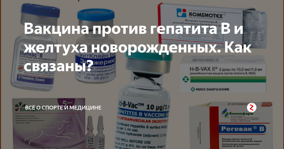 Вакцина против гепатита в комбиотех. Регевак в вакцина против гепатита в. Место введения вакцины против гепатита б. Введение вакцины против гепатита