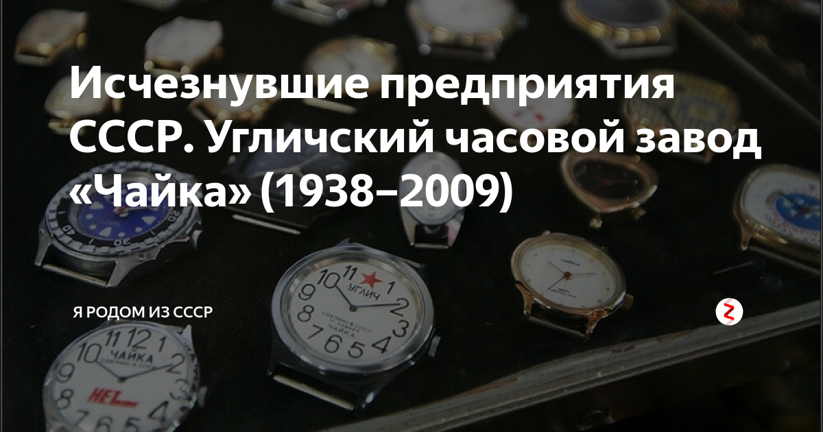 В каком городе находится завод чайка