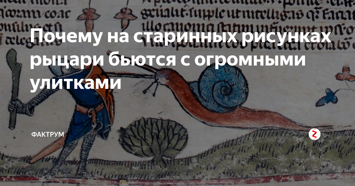 Почему на старинных рисунках рыцари бьются с огромными улитками ...
