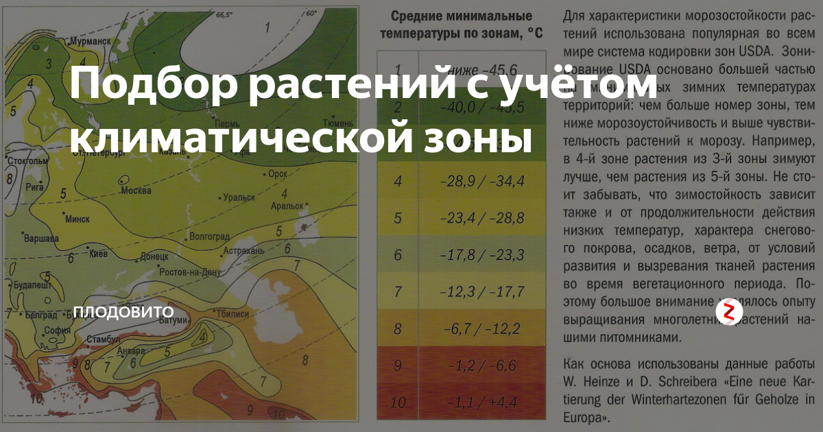 Зона морозостойкости 3. Климатические зоны зимостойкости. Зона зимостойкости растений. Климатические зоны для растений.