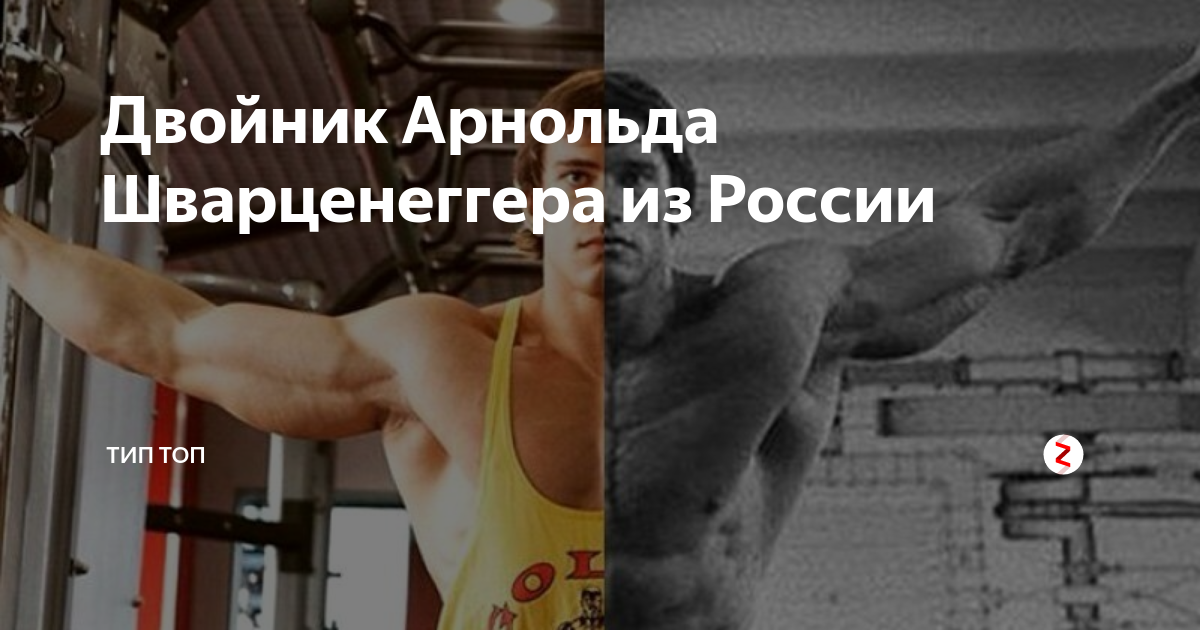 Двойник Арнольда Шварценеггера