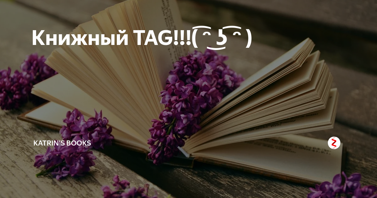 Картина книга судеб. Книга судеб картинки. Жизни книжный переплёт дзен. Книга судеб фильм 2003.