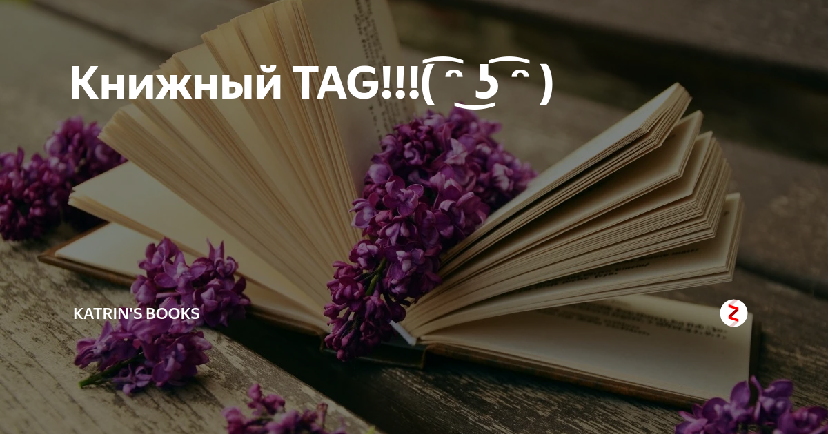 Лучшая запись. Картина книга судеб. Книга судеб картинки. Жизни книжный переплёт дзен. Книга судеб фильм 2003.