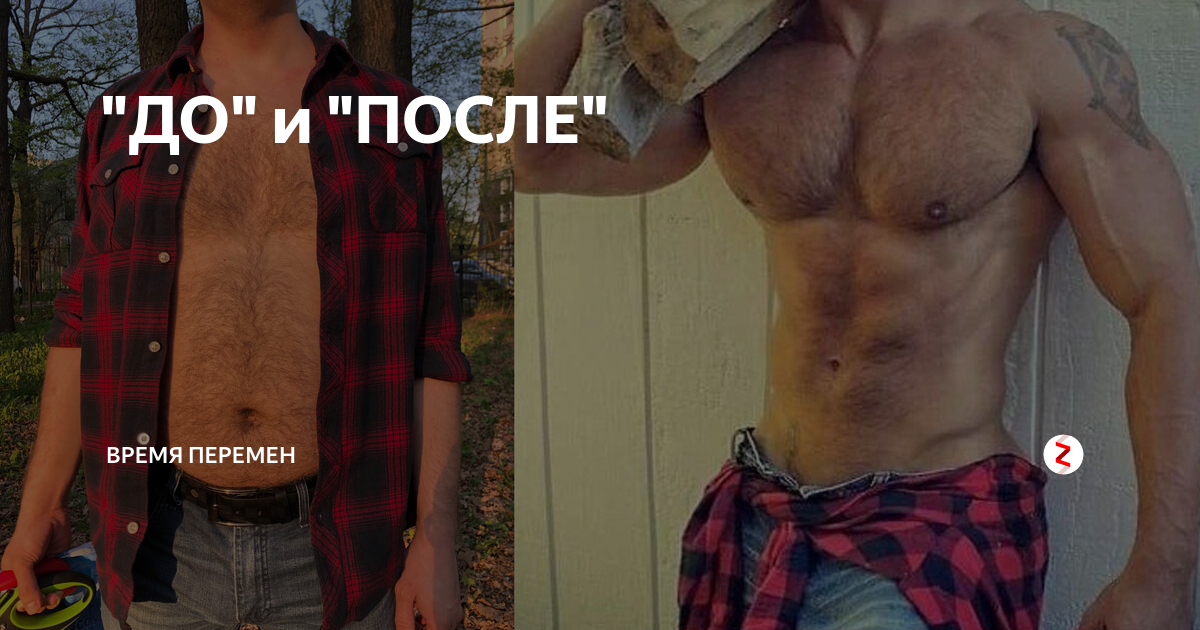 m.zen.yandex.ru