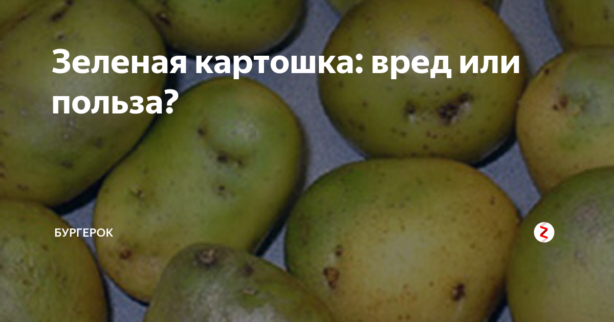 Зелёный картофель опасен для здоровья. Зелёная картошка полезная или вредная. Зелёная картошка чем вредна. Почему картошка вредная.