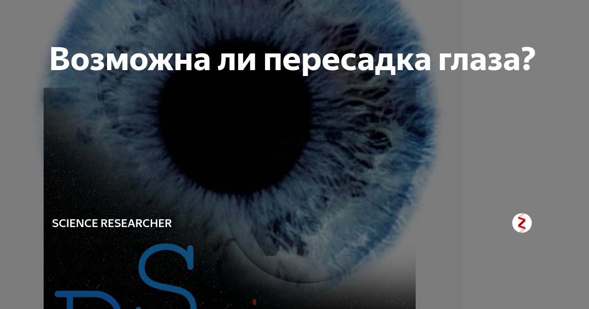 Пересажен глаз. Возможно ли пересадить глаз. Пересадка глаза возможно ли. Существует ли пересадка глаз.