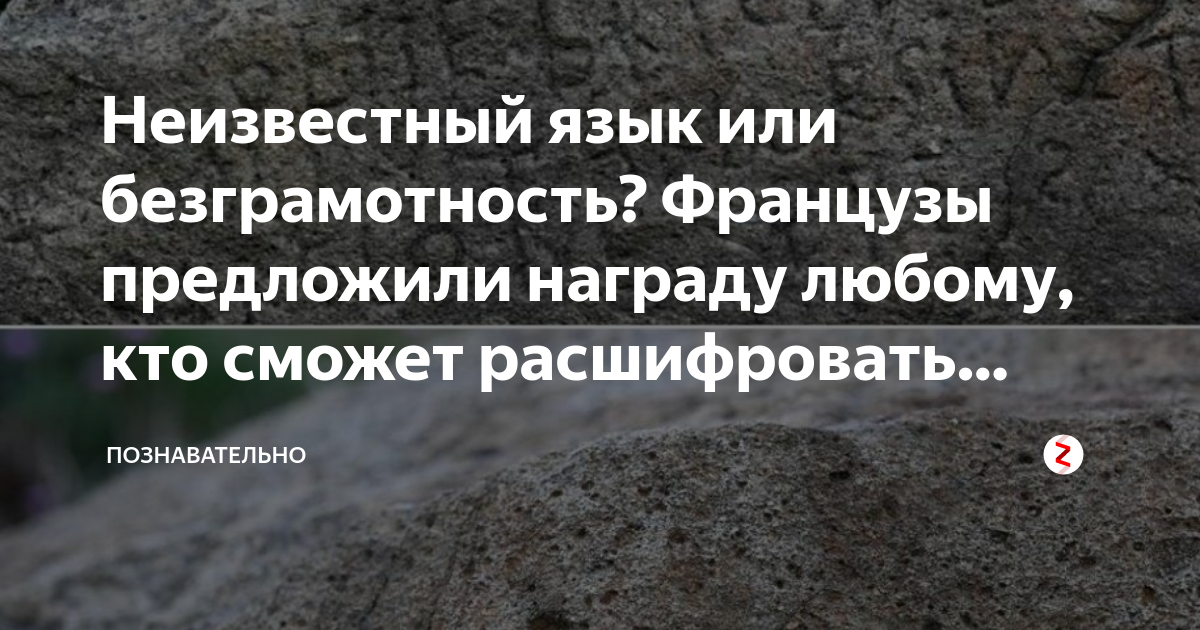 Неизвестный язык или безграмотность? Французы предложили награду любому ...