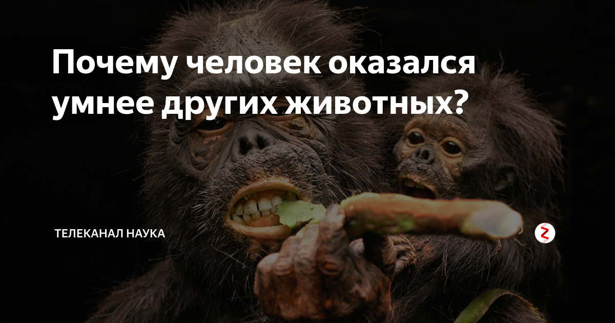 цифровой человек. инновационный город будущего. технологии в будущем. люк уилсон идиократия. оказался умным в будущем.