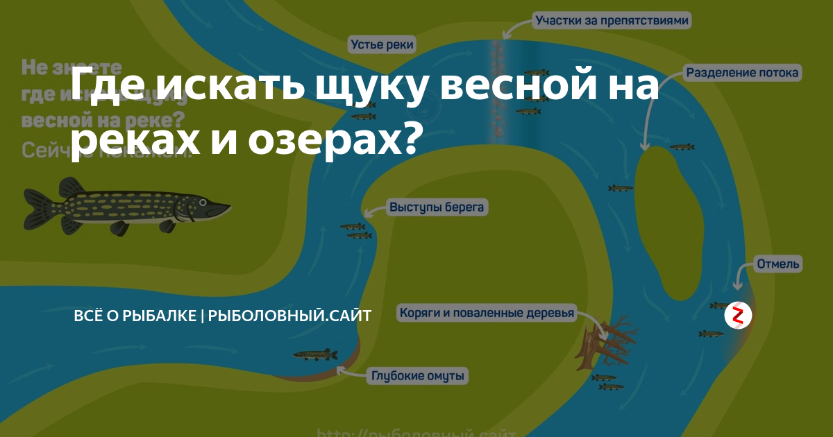 Осень на малой реке, щука. - DRIVE2