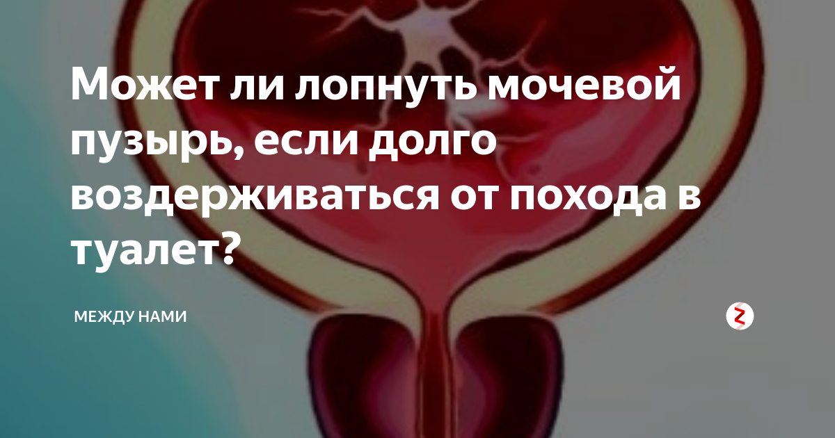 Лопнул мочевой пузырь у женщин. Может ли лопнуть мочевой пузырь. Что если лопнет мочевой пузырь. Что будет если лопнет мочевой пузырь. Может ли порваться мочевой пузырь.