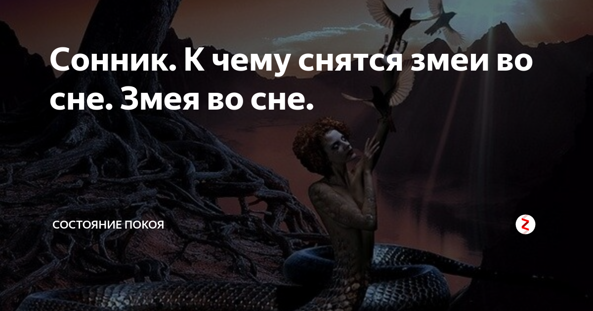 к чему снятся змеи во сне