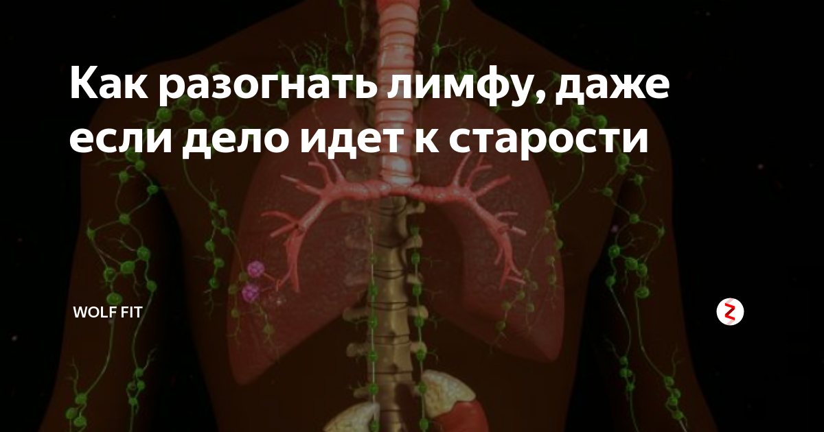 Как разогнать лимфу в ногах. Как разогнать лимфу. Упражнения разгоняющие лимфу. Разгоняем застой лимфы. Застой лимфы упражнения.