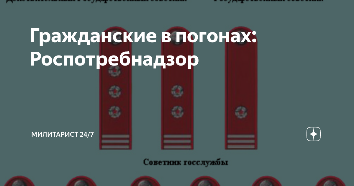 Советник государственной гражданской службы 3 класса погоны