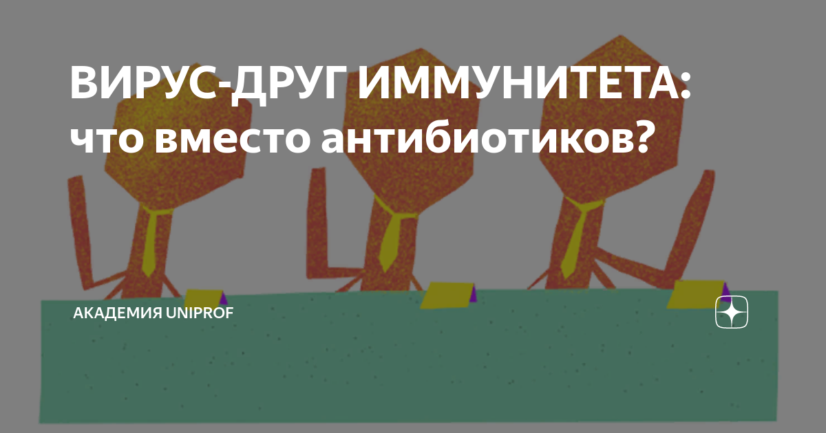 Влияние антибиотиков на систему здравоохранения