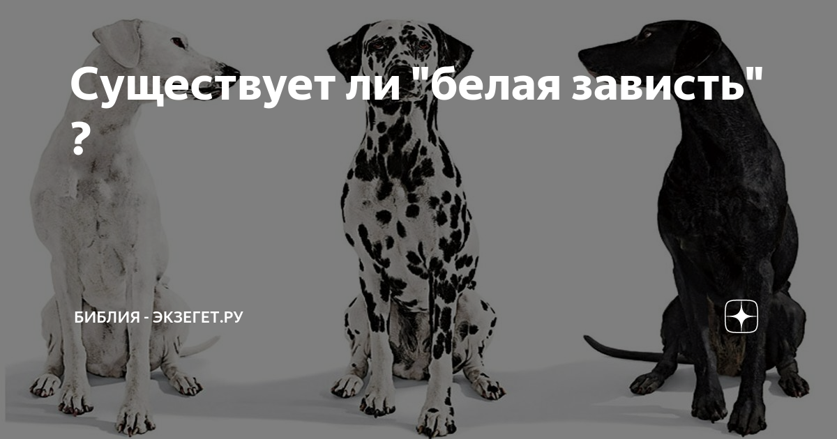Белая зависть. Белая зависть и черная зависть что это. Бывает ли белая зависть. Существует ли белая зависть. Белая и черная зависть разница