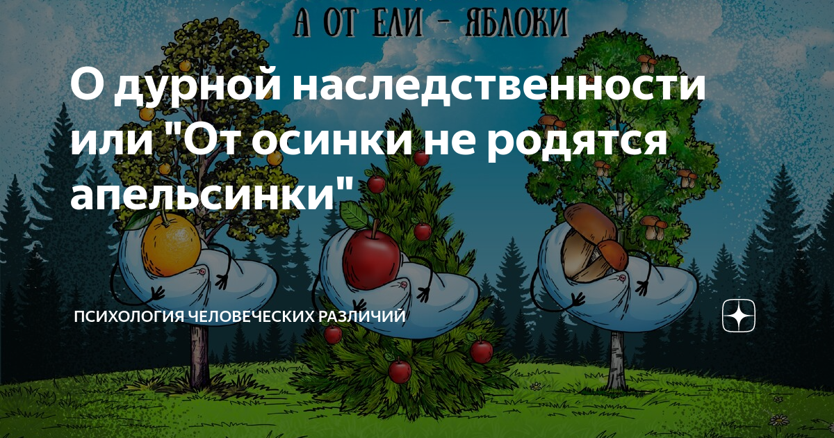 Апельсинка от осинки дзен