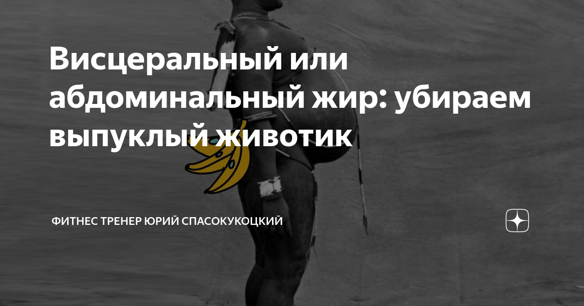 Висцеральный или абдоминальный жир: убираем выпуклый животик | Фитнес ...