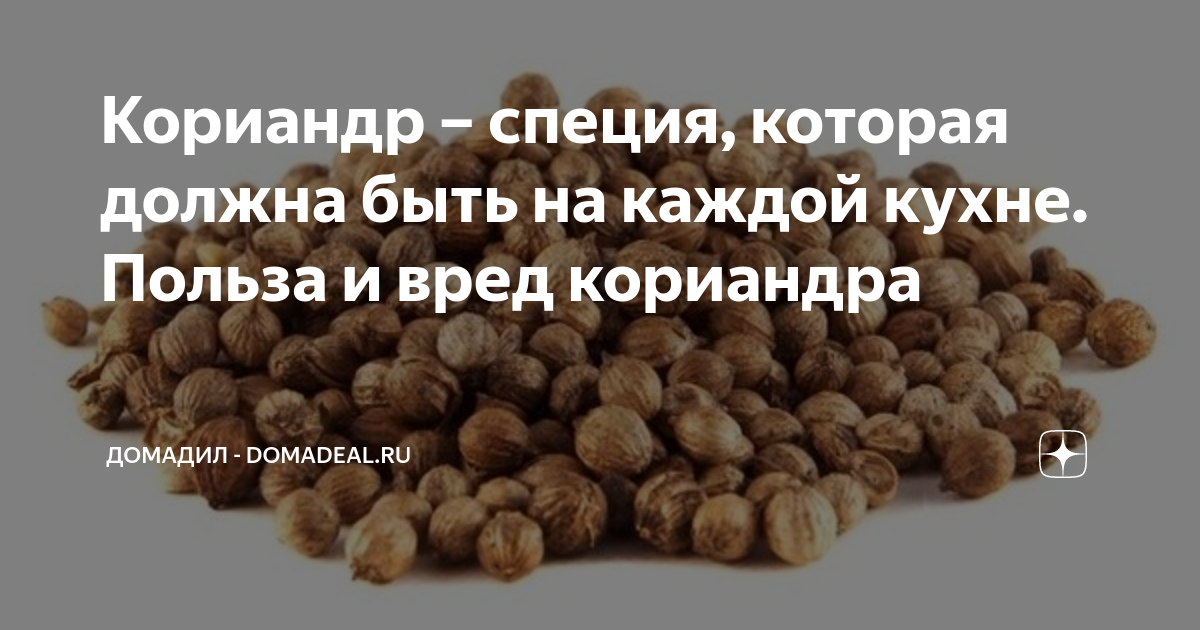 Кориандр – специя, которая должна быть на каждой кухне. Польза и вред ...