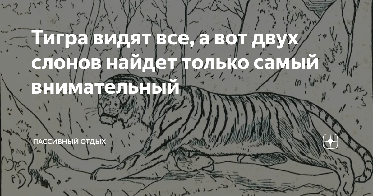 Тигр бывало так что не слышали звонок в дверь или зов супруга из соседней комнаты