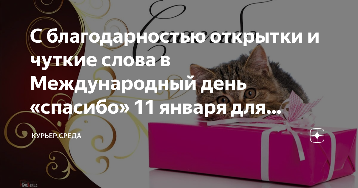 скажи спасибо 11. скажи спасибо 11. день спасибо 11 января. день спасибо мероприятие. скажи спасибо 11.