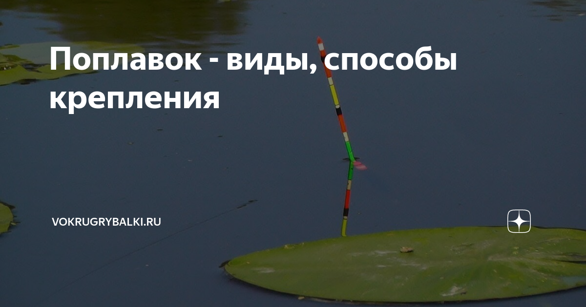 Поплавок - виды, способы крепления | vokrugrybalki.ru | Дзен
