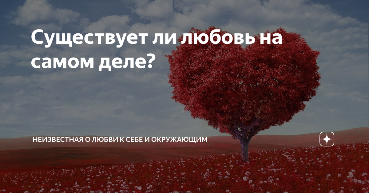 бывает ли настоящая любовь. безумство в любви цитаты. существует ли любовь на самом. любовь ли это смотреть. бывает ли любовь.