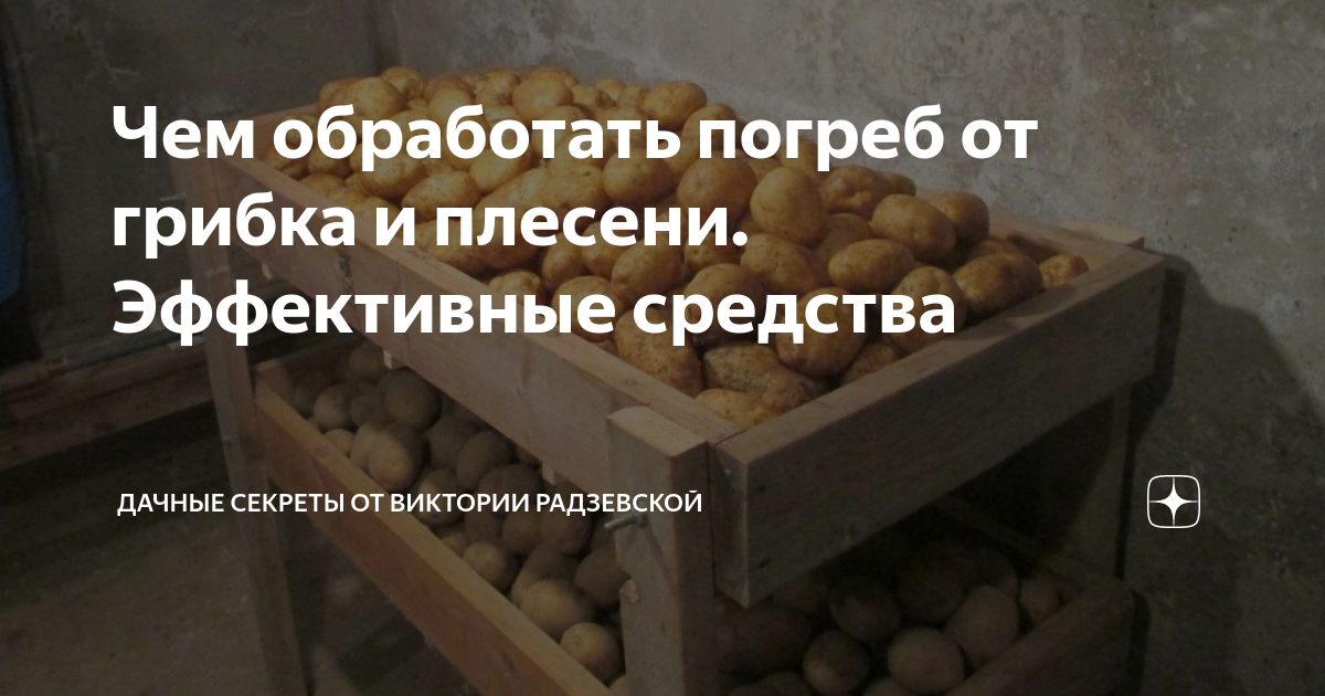 Чем обработать подвал от плесени. Обработка подвала. Сырный погреб плесень. Чем обработать погреб от плесени и грибка перед закладкой овощей. Таблетки для погреба от плесени.