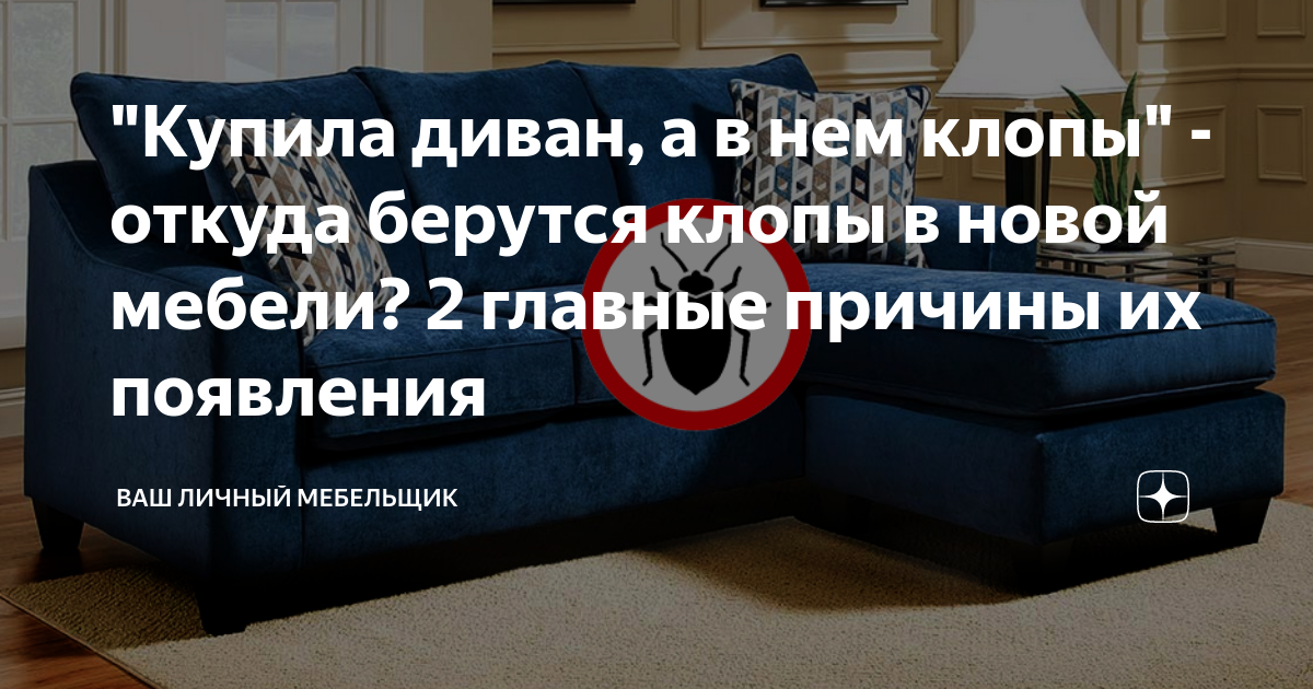 "Купила диван, а в нем клопы" - откуда берутся клопы в новой мебели? 2 ...