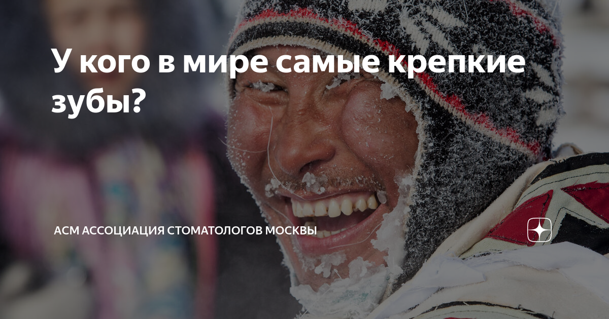 У кого в мире самые крепкие зубы? | АCМ Ассоциация стоматологов Москвы ...