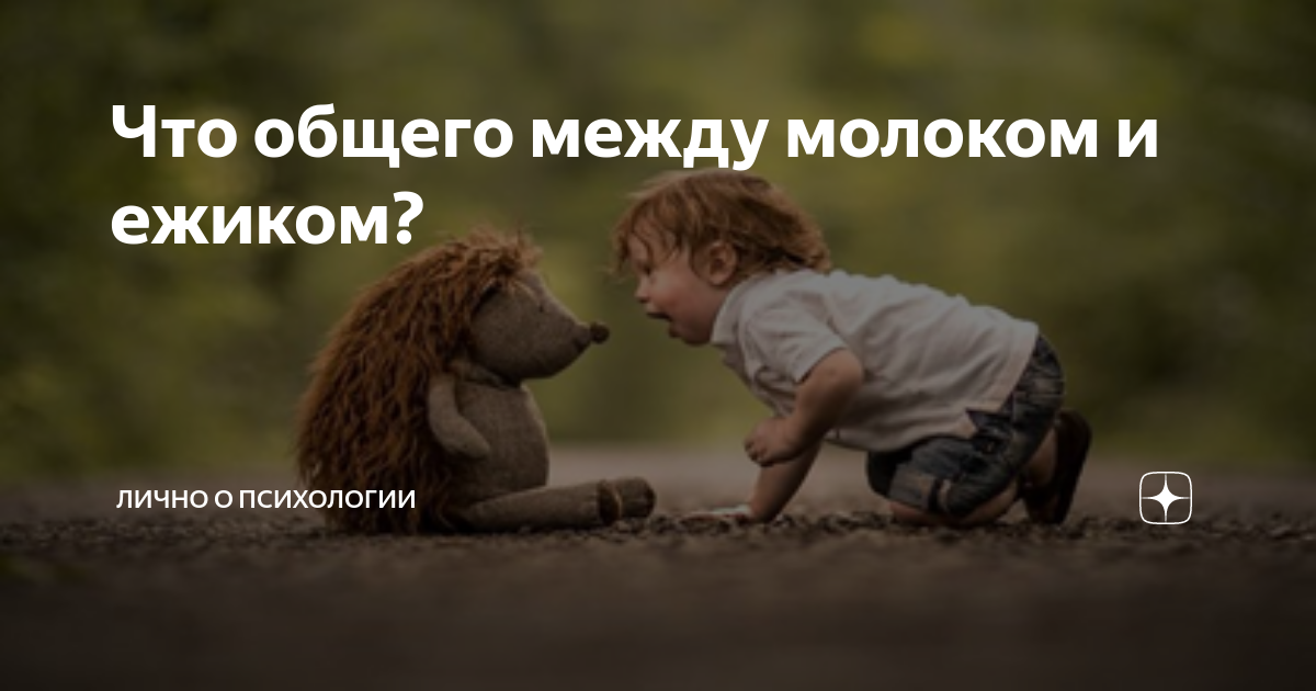 Что общего между ежиком и молоком