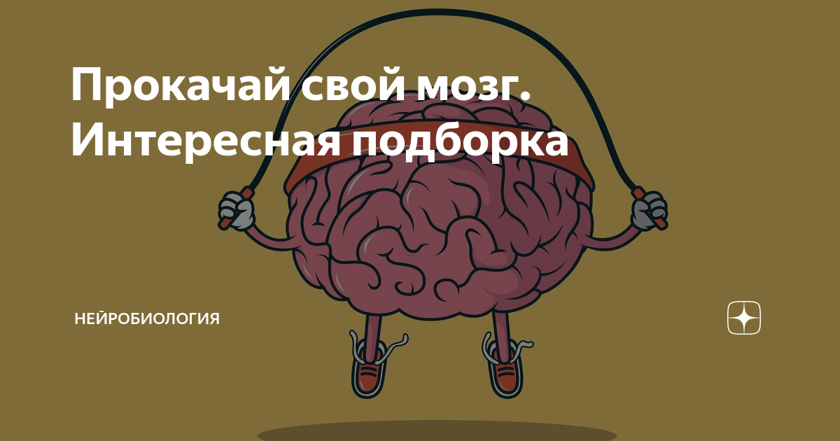 Факты про мозг