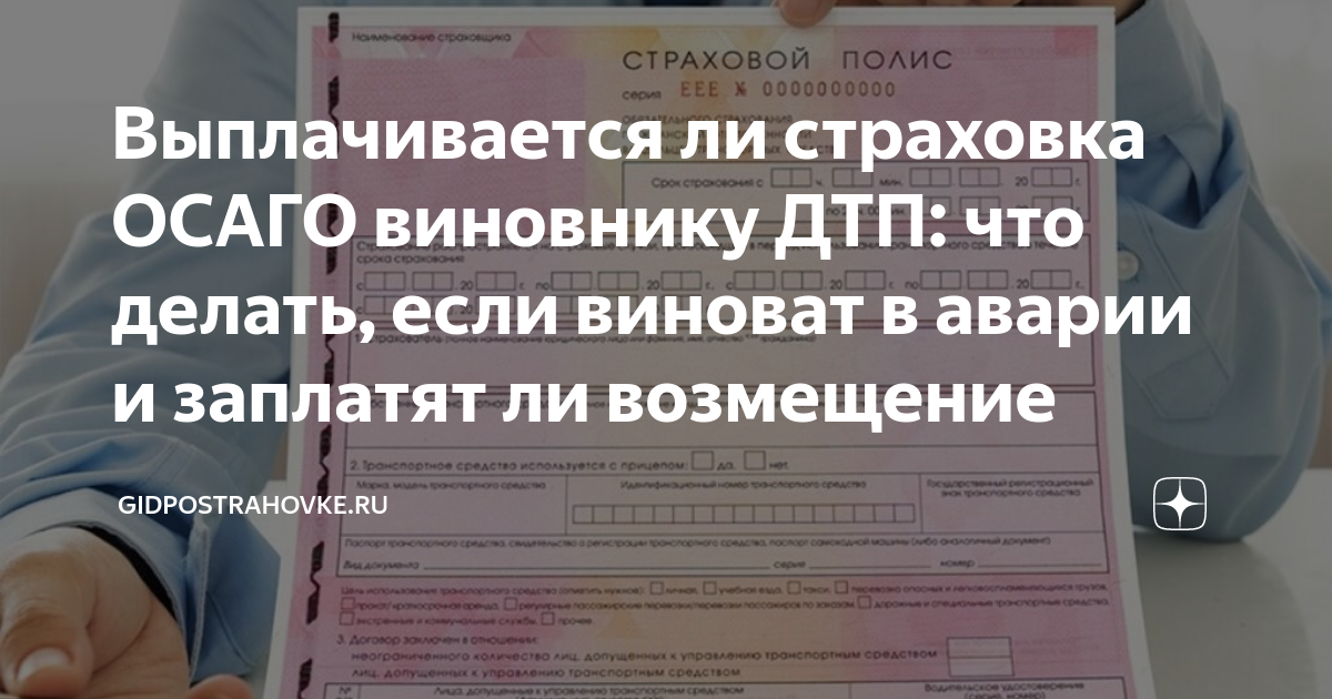 Выплачивает ли страховка виновнику дтп. Платят ли страховку частей тела. Возмещает ли страховка если виноват я в ДТП. Виновник ДТП без ОСАГО. Если у меня нет полиса ОСАГО А У виновника есть.