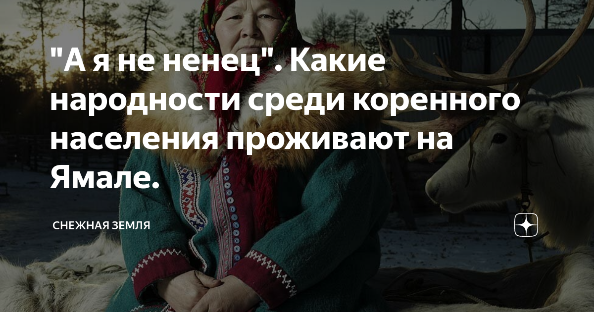 "А я не ненец". Какие народности среди коренного населения проживают на ...