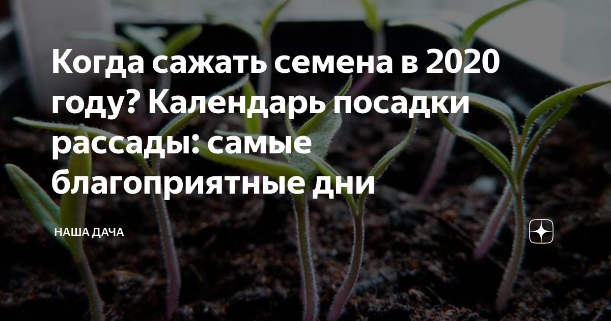 Лунный календарь посадки 2020
