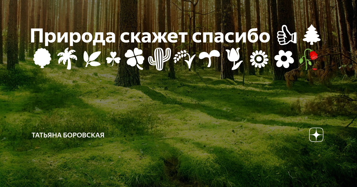 Скажем природе. Национальный проект сохраним лес. Незаменимых нет есть. Оставьте лес россиянам.