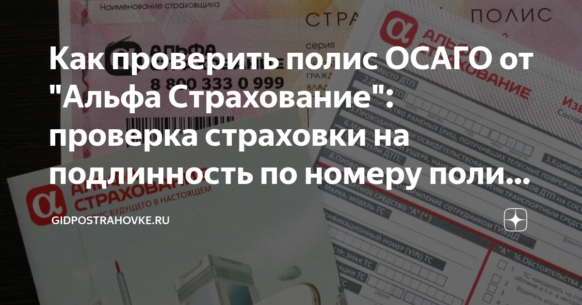 Как узнать страховую компанию по полису. Как узнать страховую компанию по полису