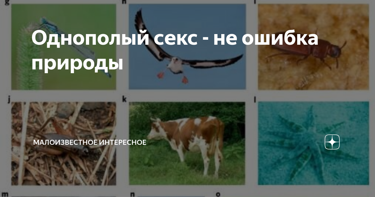 Я ошибка природы