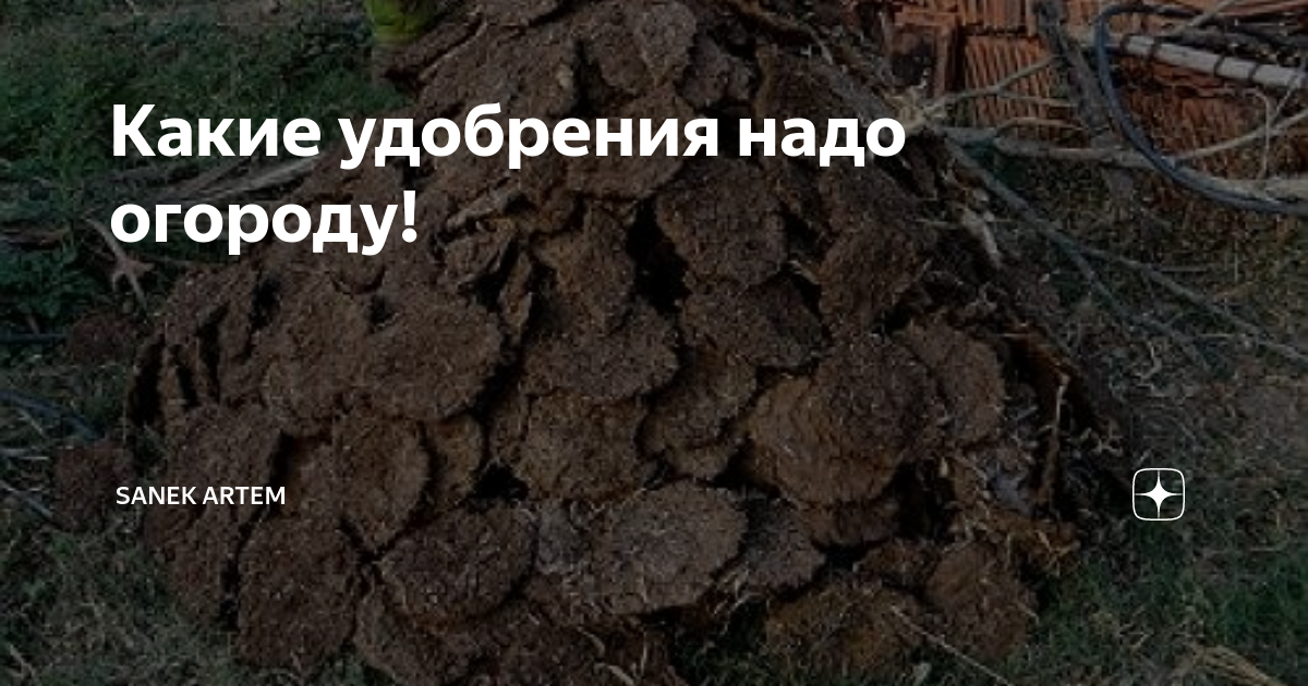 Какие удобрения надо огороду! | Sanek Artem | Дзен