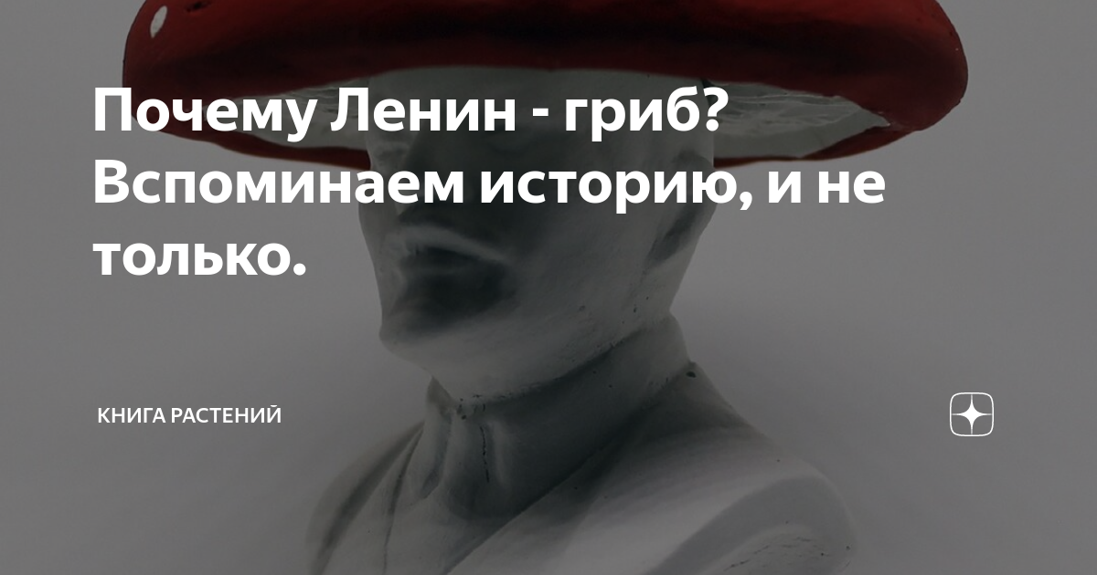 Схема ленин гриб