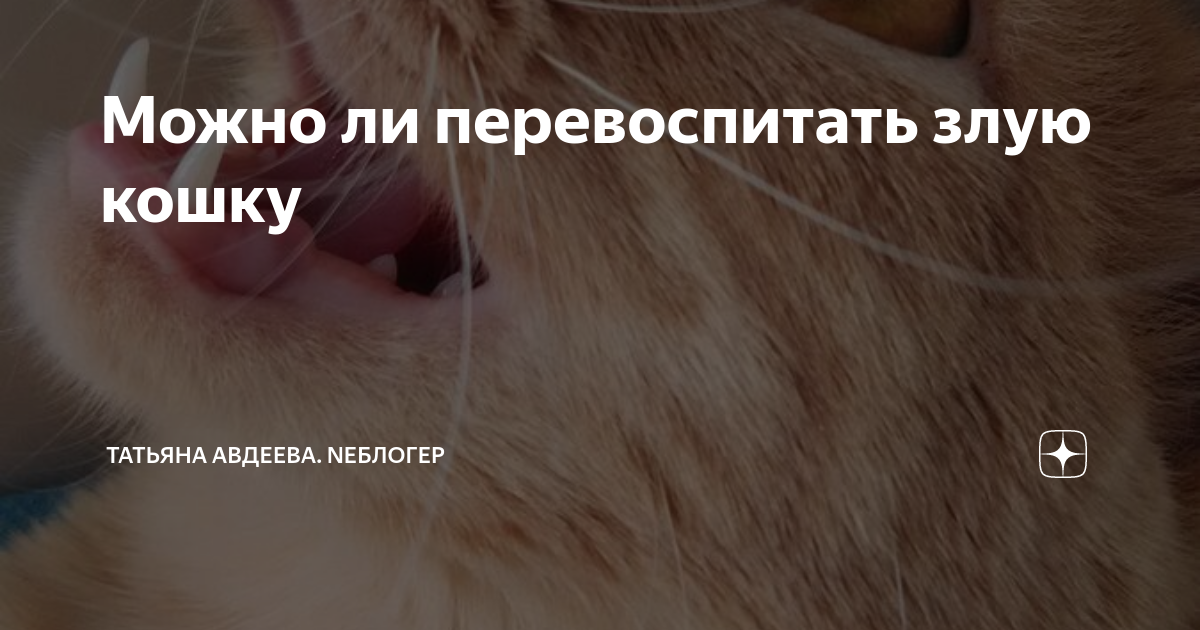 2. Используйте положительное подкрепление