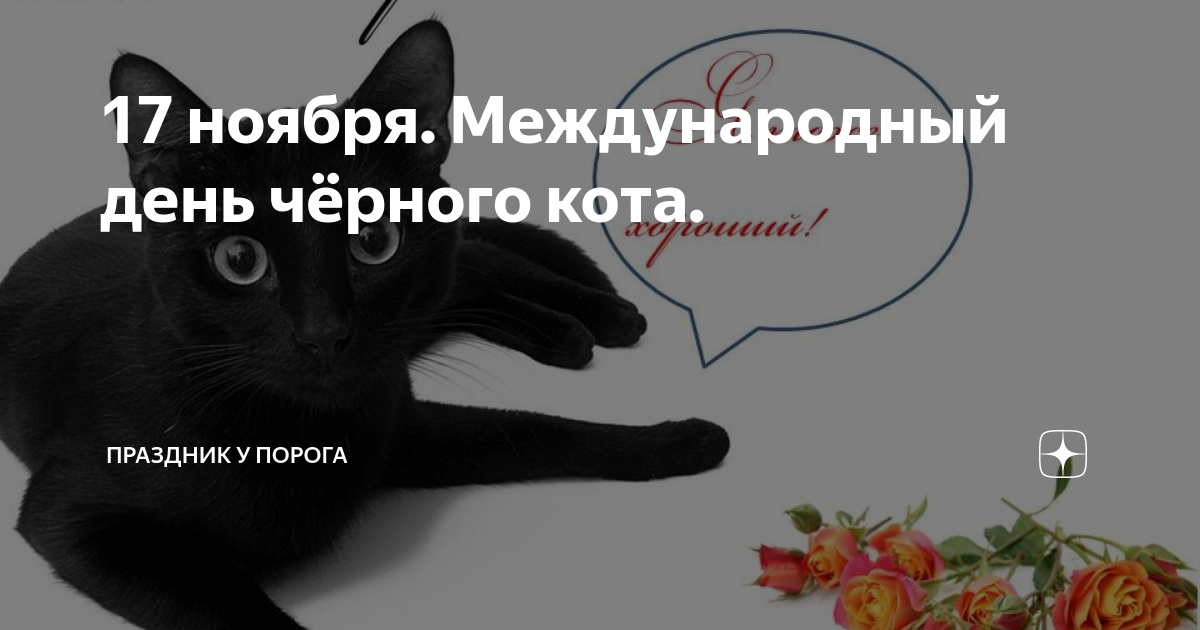 Включи день черного. Международный день черного кота. День защиты черных кошек. Международный день черной кошки. 17 Ноября день черной кошки.