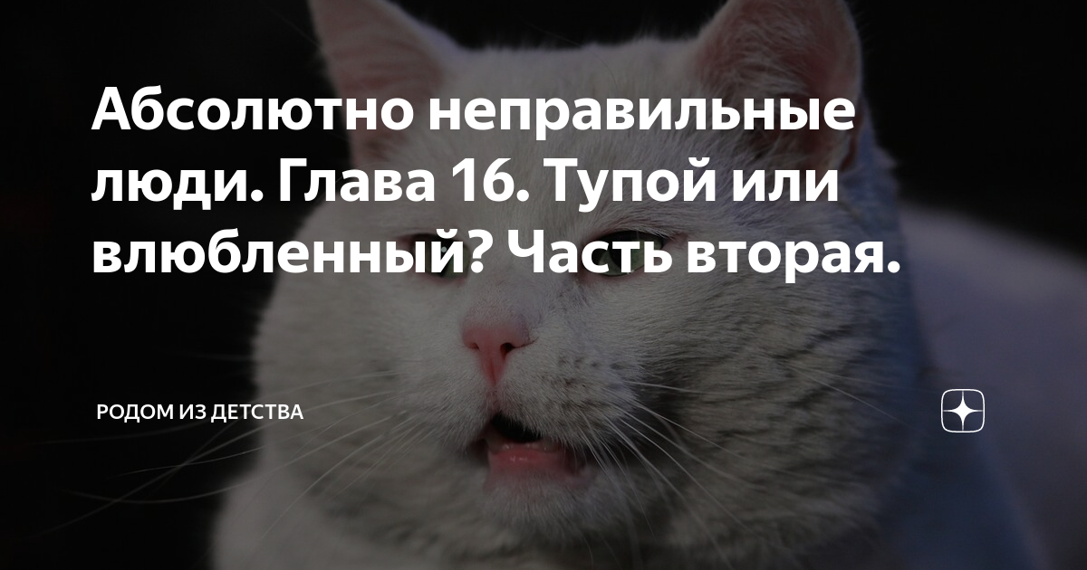 Абсолютно неправильные люди. Глава 16. Тупой или влюбленный? Часть ...