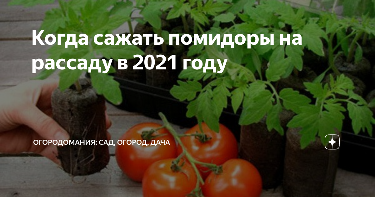 Можно ли сеять помидоры на рассаду сегодня. Когда садить помидоры в Екатеринбурге. Как посадить томаты в открытый грунт. Открытка с вопросом а вы перец помидор посадили ещё.