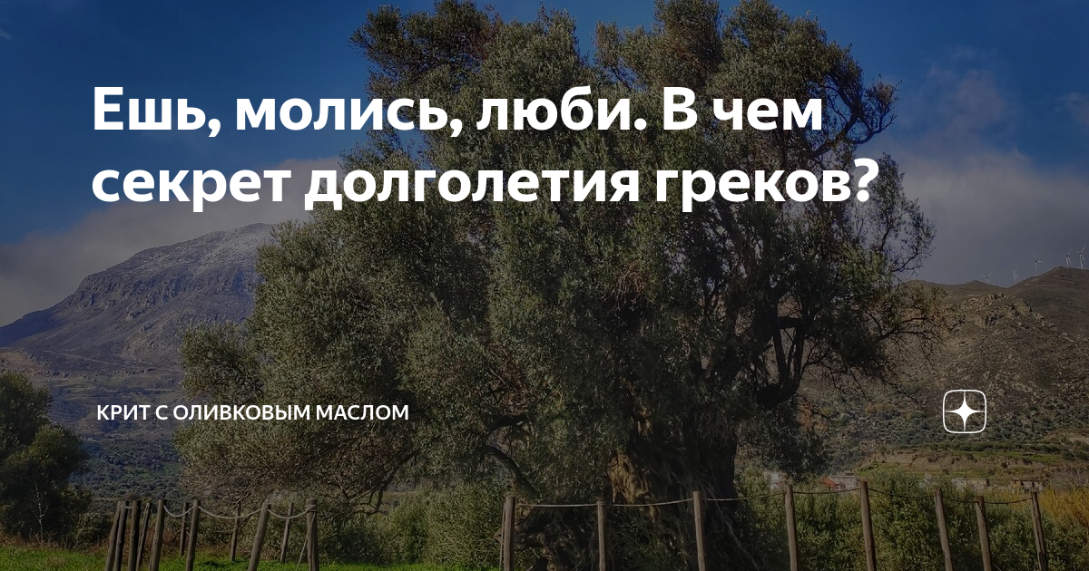 масло оливковое спартан треже нерафинированное extra virgin oil pgi lakonia. греческое монастырское оливковое масло. крит с оливковым маслом дзен. крит с оливковым маслом дзен. плантации оливок в греции.