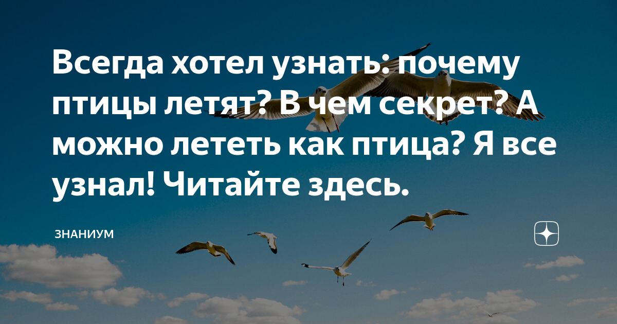 Почему курицы не умеют летать как все другие птицы