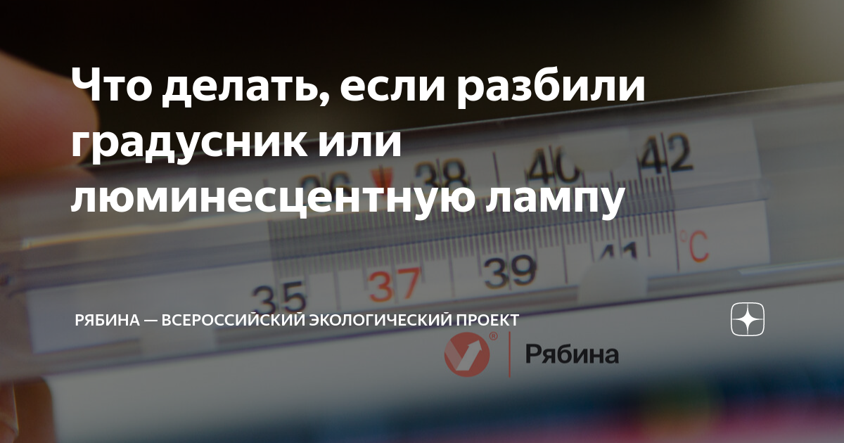 Что делать, если разбилась люминесцентная (ртутная) лампа? — МО Сосновское