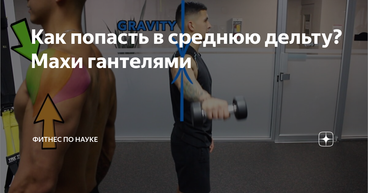 Как попасть в среднюю дельту? Махи гантелями | Фитнес по Науке | Дзен